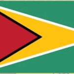 Vision Guyana — Flag